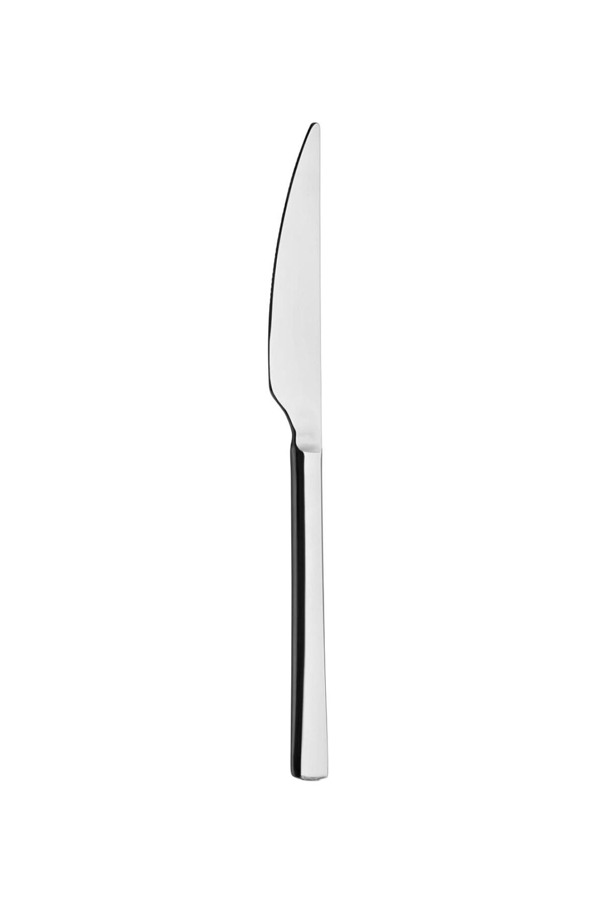 Pasta Bıçağı